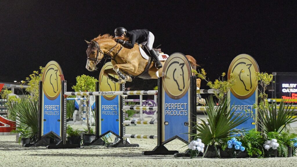 rider humping horse over a hurdle