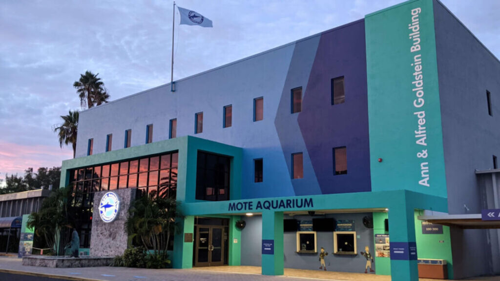 purple and turquoise building.