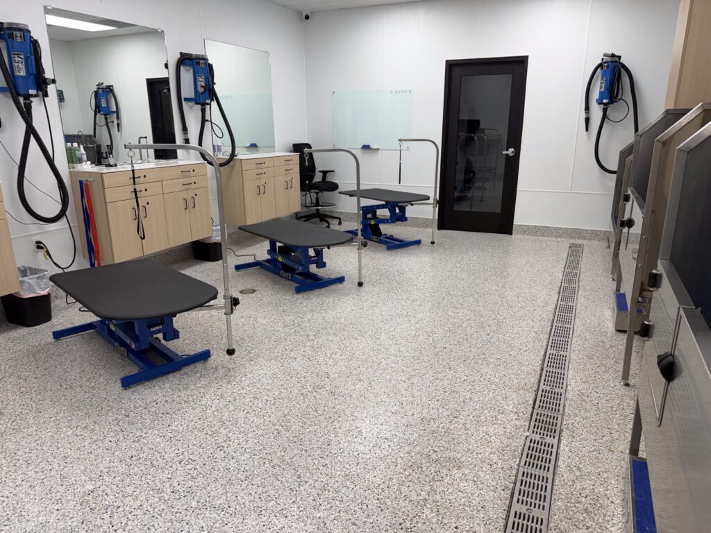 The interior of a dog care facility
