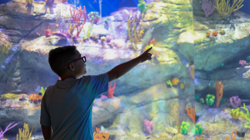 A kid in an aquarium